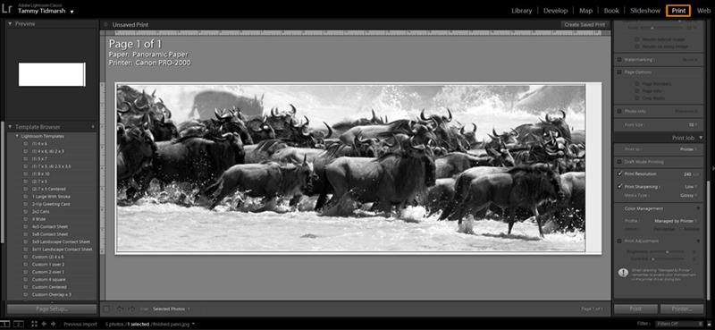 Lightroom Print Settings Lightroom Print Settings