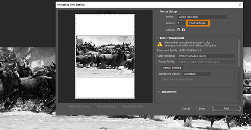 Print Settings Window Print Settings Window
