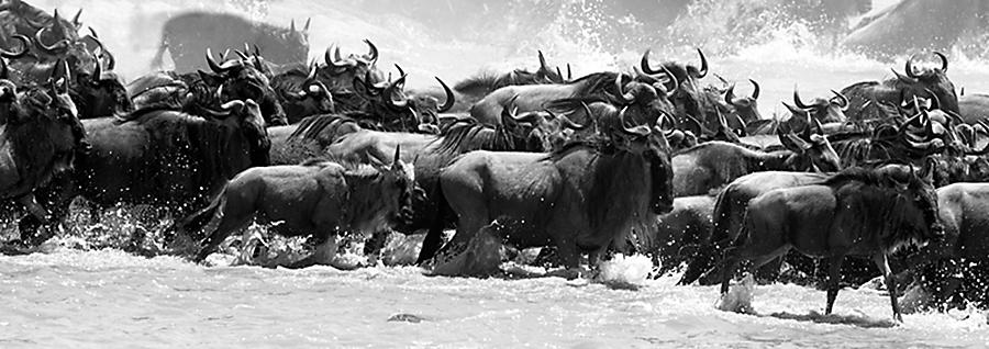 Panoramic image Panoramic image